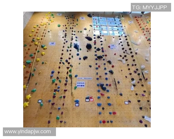 南京攀岩队个人能力分析及其对团队表现的影响研究