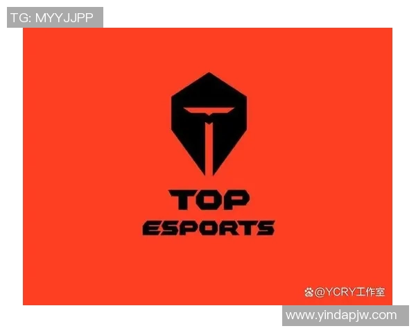 深入分析TES战队的控制打法及其在比赛中的应用策略