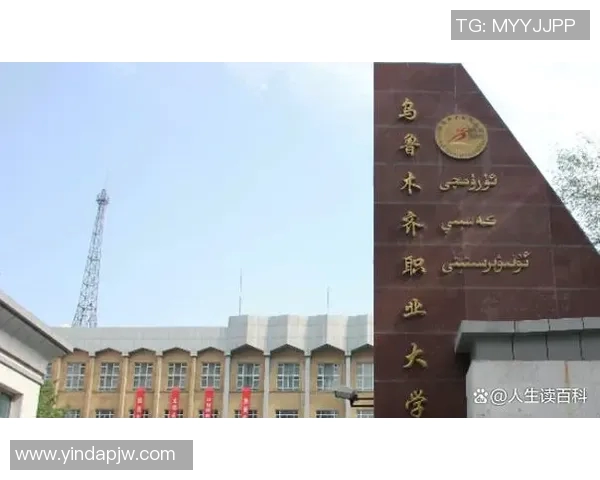 朱俊龙的成长之路与职业生涯探秘：从青涩少年到篮球场上的璀璨明星