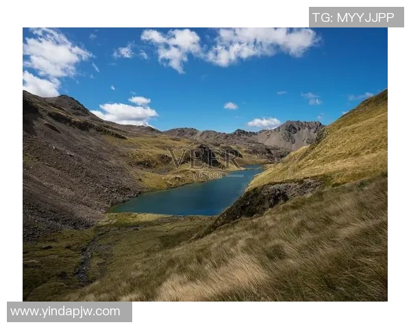 葡萄牙与新西兰精彩对决回顾及赛后分析全景呈现