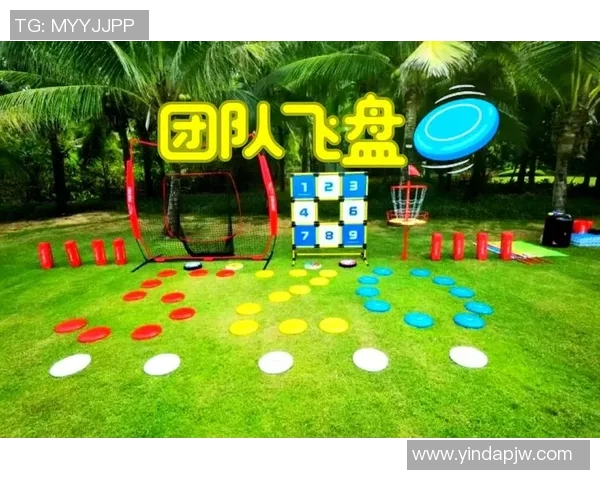 重庆飞盘队的蜕变与发展探索飞盘运动的未来之路