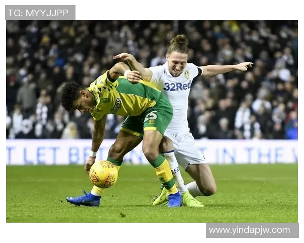 卢顿与诺维奇对决前瞻分析及比赛结果预测探讨